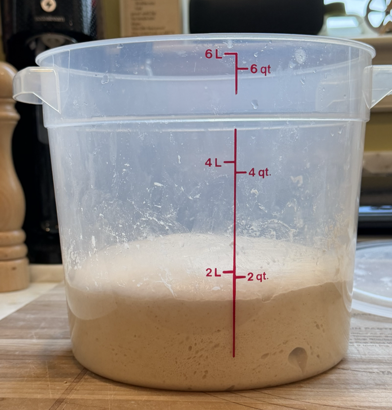 Fully proofed dough
